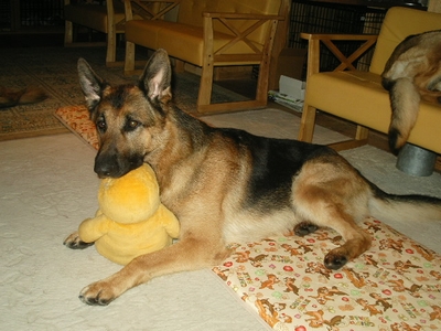 20130509-2.jpg