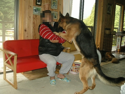 20130509-3.jpg