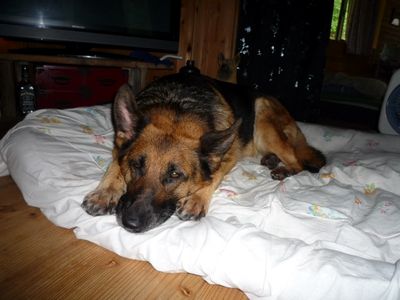 20130612.jpg
