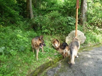 20130616-1.jpg