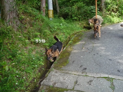 20130616-3.jpg