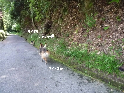 20130616-4.jpg