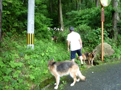 20130623-2.jpg
