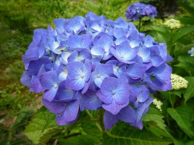 20130705-1.jpg