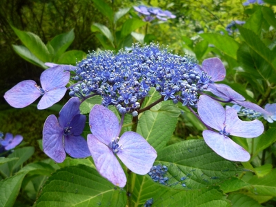 20130705-2.jpg