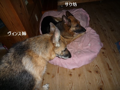 20130706-1.jpg