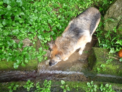 20130706-5.jpg