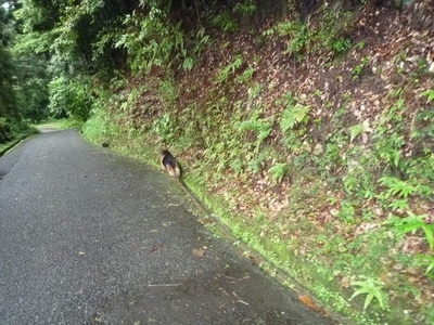 20130706-6.jpg