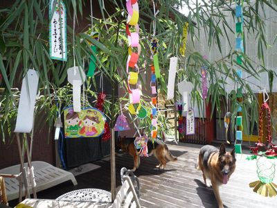20130707.jpg