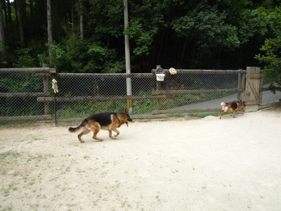 20130915-2.jpg