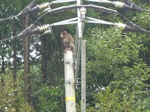 20130915-3.jpg