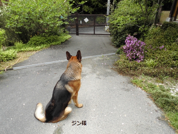 20180509-1.jpg
