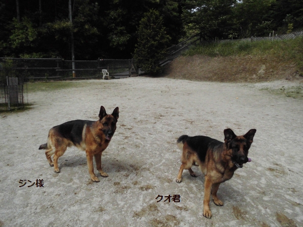 20180509-2.jpg