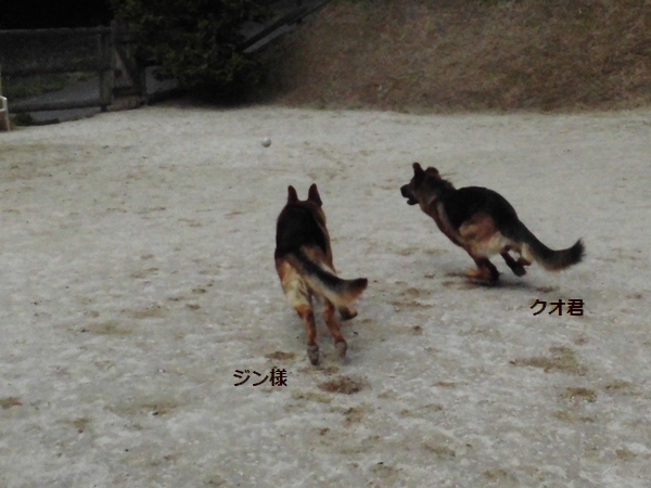 20180509-3.jpg