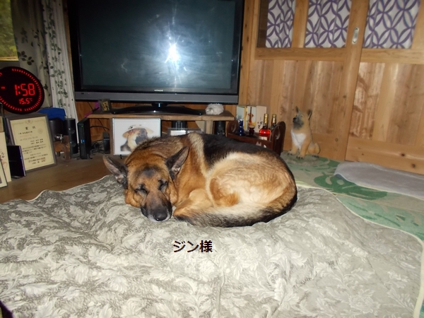 20200401.jpg