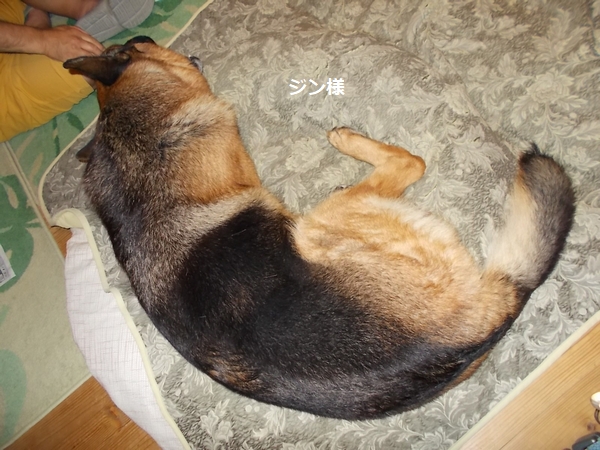 20200706-2.jpg