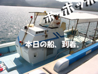 本日のフネ