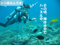 ムキャー
