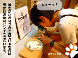 キワモノ観察