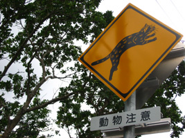 島の標識