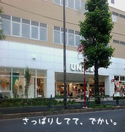 さっぱり