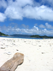 無人島へポイ