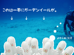 にょーん。