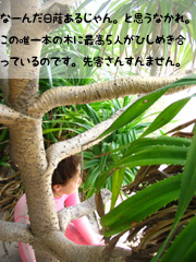 こんなに地球は広いのに。
