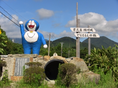 屋久ドラ