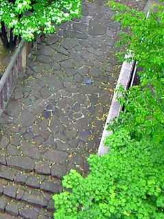 20080515230847_9.jpg