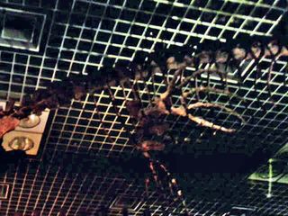 20080515234818_9.jpg