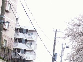 20080519204834_5.jpg