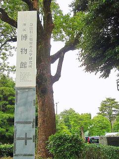 20080608233731_6.jpg