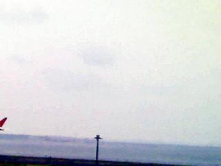 20080708230325_5.jpg