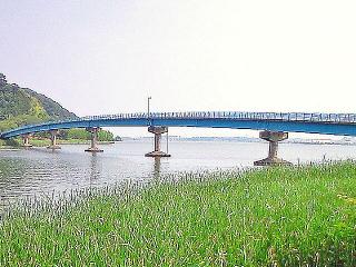 20080805175439_4.jpg