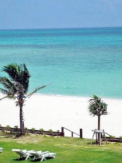 20080724234636_5.jpg