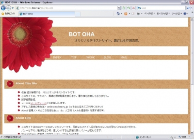 Internet Explorer 8