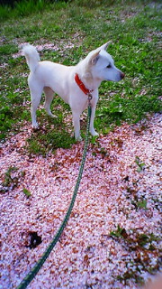 200804080819001.jpg