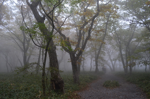 霧の覚満淵