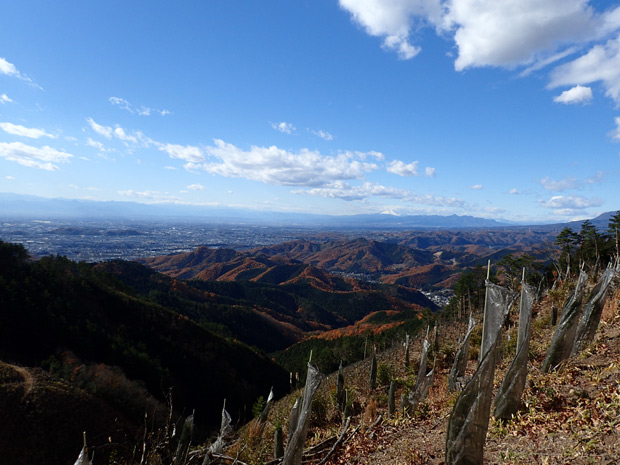 岡平から