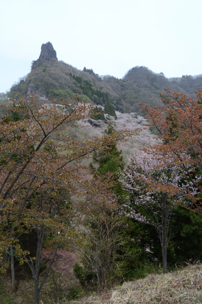 桜の里
