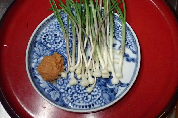 ノビル