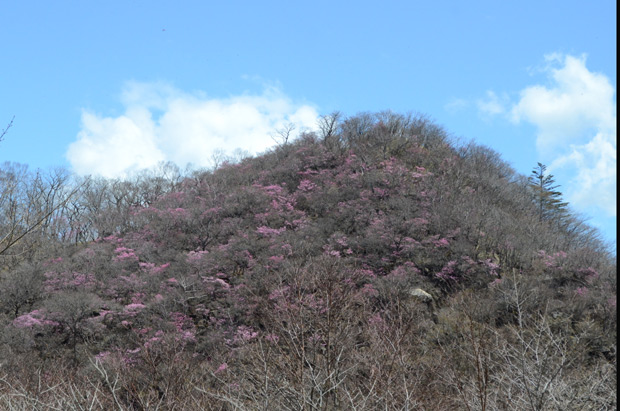 篭山