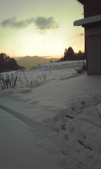 08初雪