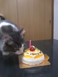 110522誕生日ケーキ