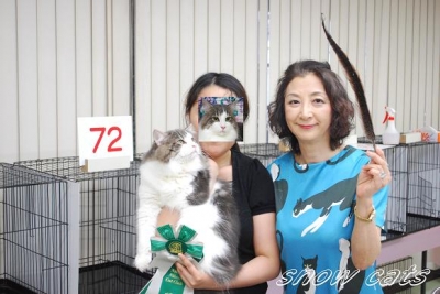 ジャッジの先生と