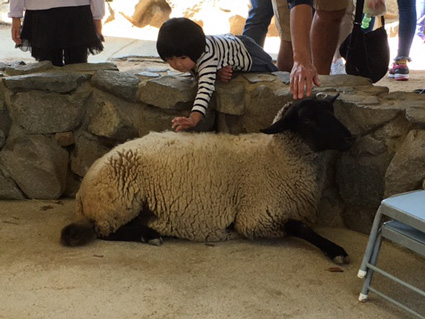 王子動物園ふれあい広場