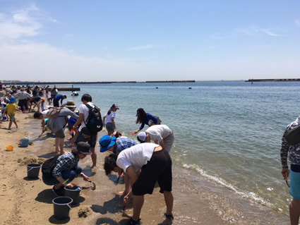 須磨海岸 潮干狩り2019