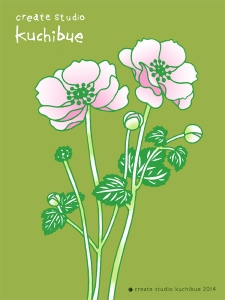 秋明菊