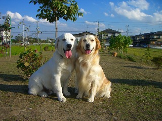 初めて撮ったツーショット♪ピースの顔 デカイ!!
